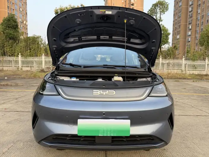 BYD Dolphin 2025 Model Smart Driving Edition 410KM Fashion Edition – фото 8