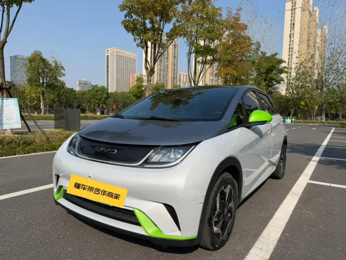 BYD Dolphin 2021 Model Fashion Edition – фото 1