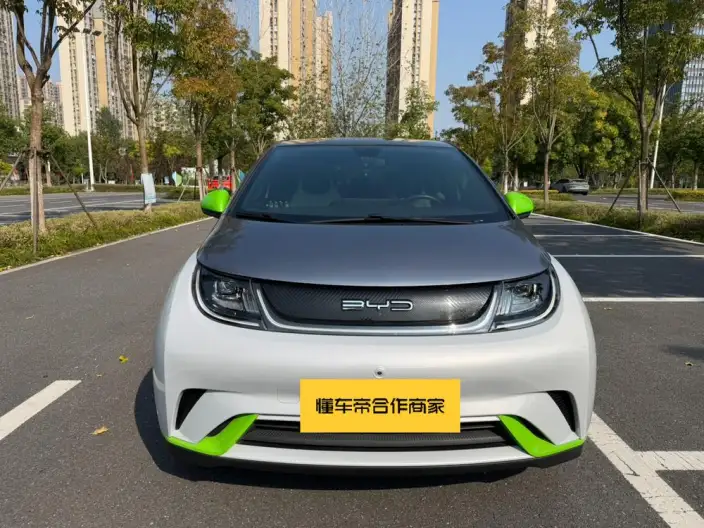 BYD Dolphin 2021 Model Fashion Edition – фото 2