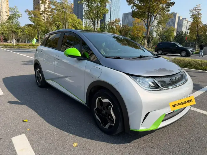 BYD Dolphin 2021 Model Fashion Edition – фото 3