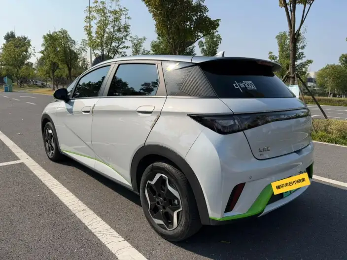 BYD Dolphin 2021 Model Fashion Edition – фото 4