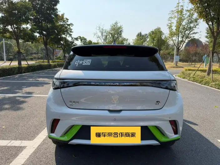 BYD Dolphin 2021 Model Fashion Edition – фото 5