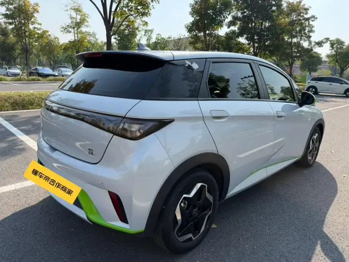 BYD Dolphin 2021 Model Fashion Edition – фото 6