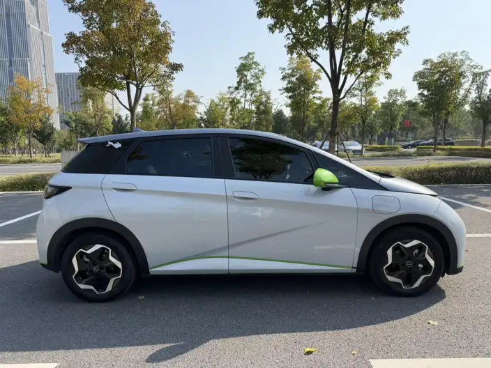 BYD Dolphin 2021 Model Fashion Edition – фото 7