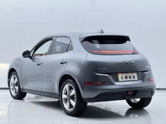 ORA Good Cat 2025 Model 430km Zunrong Model