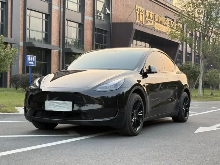 Model Y 2023 Model Rear-wheel drive version – фото 1