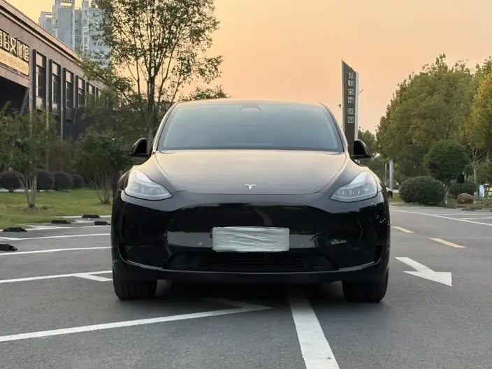 Model Y 2023 Model Rear-wheel drive version – фото 2