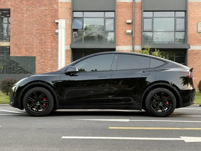 Model Y 2023 Model Rear-wheel drive version – фото 3