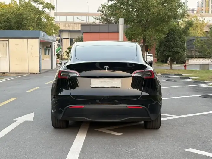 Model Y 2023 Model Rear-wheel drive version – фото 5