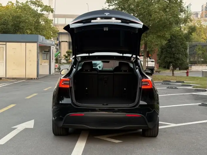 Model Y 2023 Model Rear-wheel drive version – фото 9