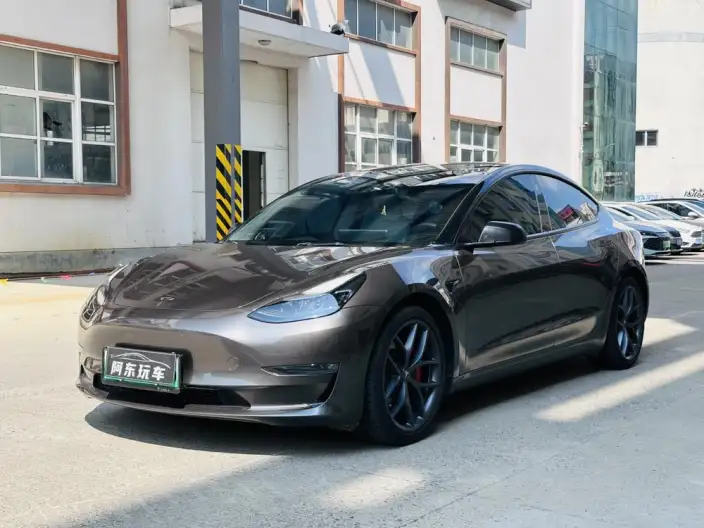 Model 3 2022 Model Performance High performance All-wheel drive version – фото 1