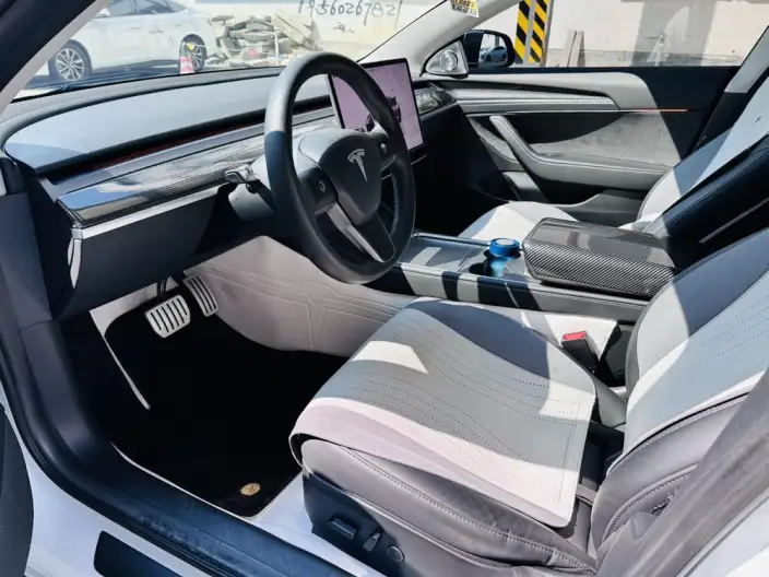 Model 3 2022 Model Performance High performance All-wheel drive version – фото 7