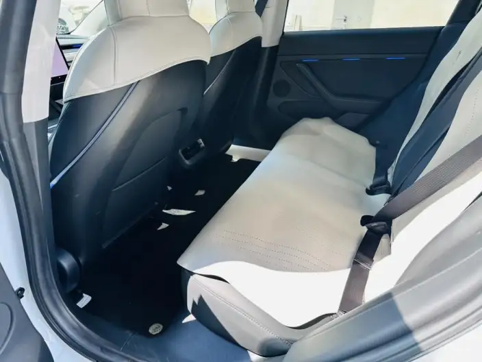Model 3 2022 Model Performance High performance All-wheel drive version – фото 10
