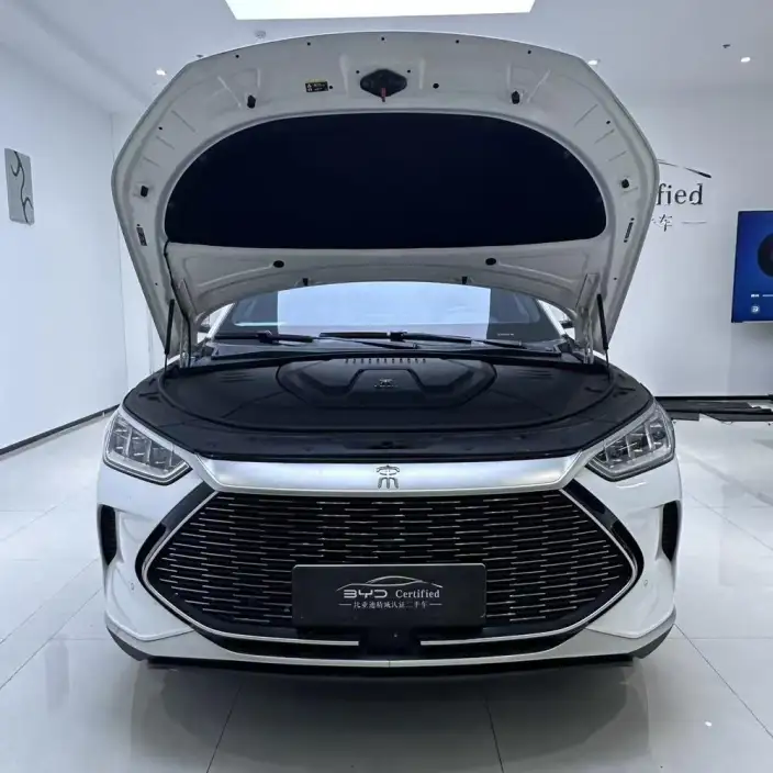 BYD Song PLUS DM 2021 Model DM-i 110KM 2WD Flagship Model – фото 7