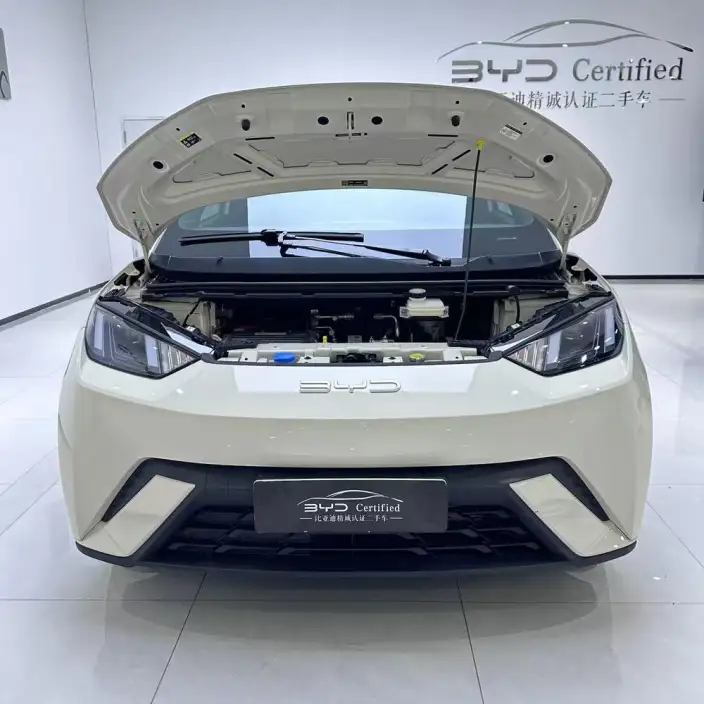 BYD Seagull 2023 Model Free Edition – фото 2