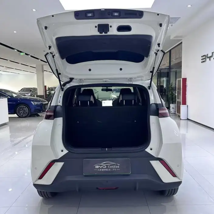BYD Seagull 2023 Model Free Edition – фото 9
