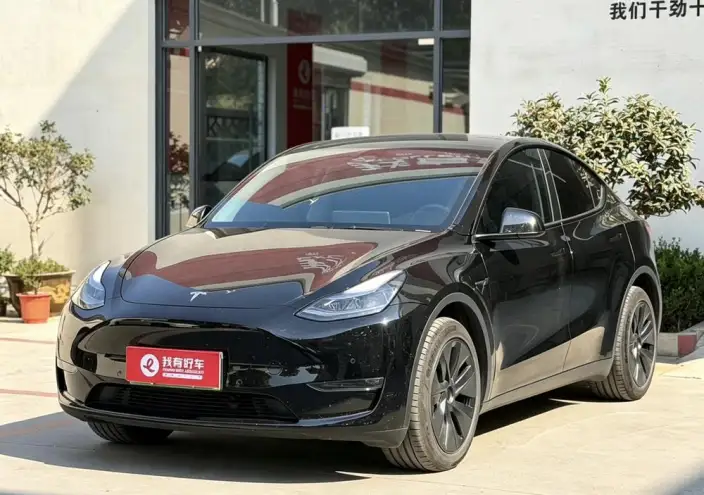 Model Y 2023 Model Long Battery Life Pro All-wheel drive version – фото 1