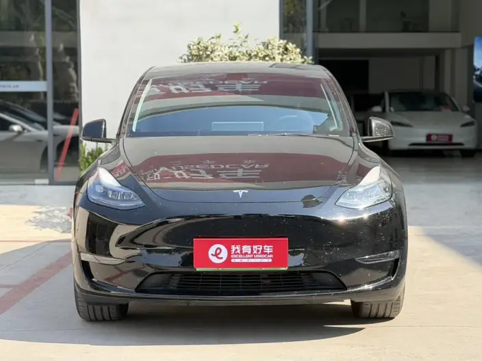 Model Y 2023 Model Long Battery Life Pro All-wheel drive version – фото 2