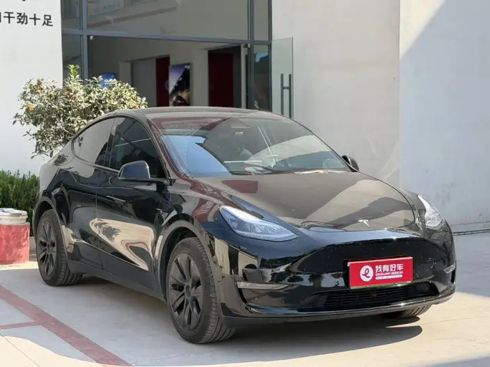 Model Y 2023 Model Long Battery Life Pro All-wheel drive version – фото 3
