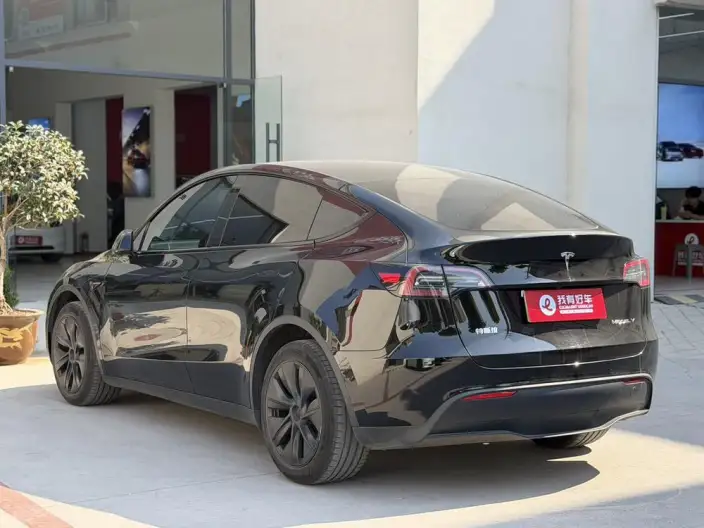 Model Y 2023 Model Long Battery Life Pro All-wheel drive version – фото 4