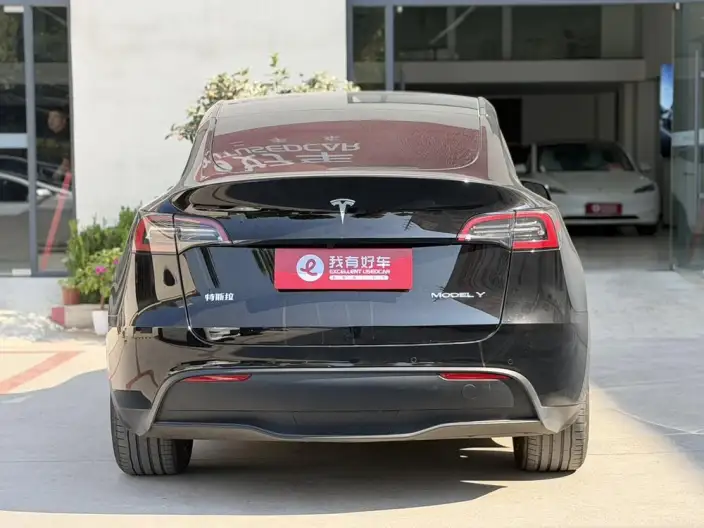 Model Y 2023 Model Long Battery Life Pro All-wheel drive version – фото 5