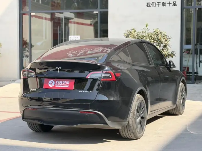 Model Y 2023 Model Long Battery Life Pro All-wheel drive version – фото 6