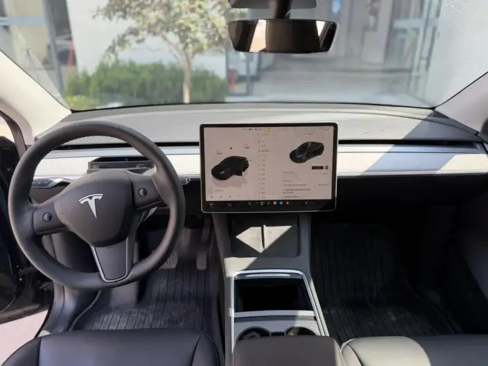 Model Y 2023 Model Long Battery Life Pro All-wheel drive version – фото 7