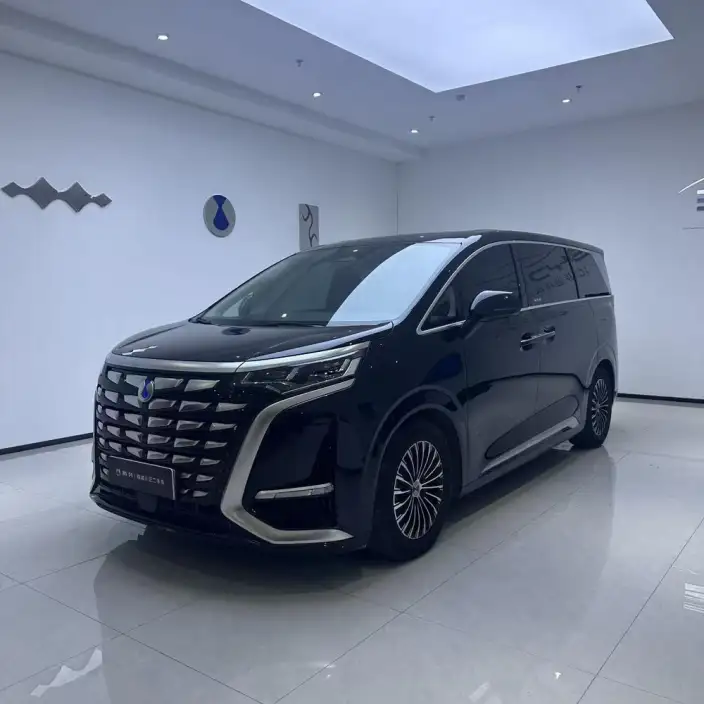 DENZA D9 DM 2024 Model 970 Luxury Model