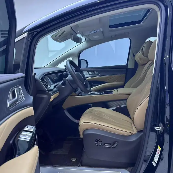DENZA D9 DM 2024 Model 970 Luxury Model – фото 9