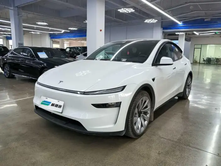 Model Y 2025 Model Long Battery Life Pro All-wheel drive version – фото 1