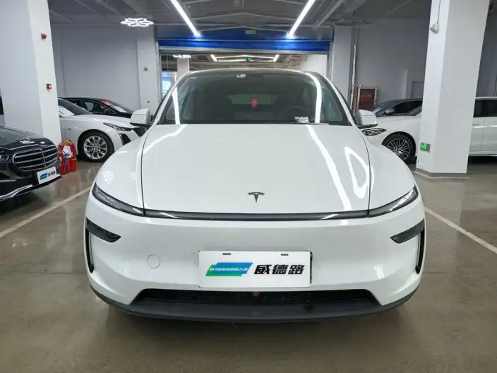 Model Y 2025 Model Long Battery Life Pro All-wheel drive version – фото 2