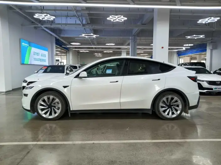 Model Y 2025 Model Long Battery Life Pro All-wheel drive version – фото 3