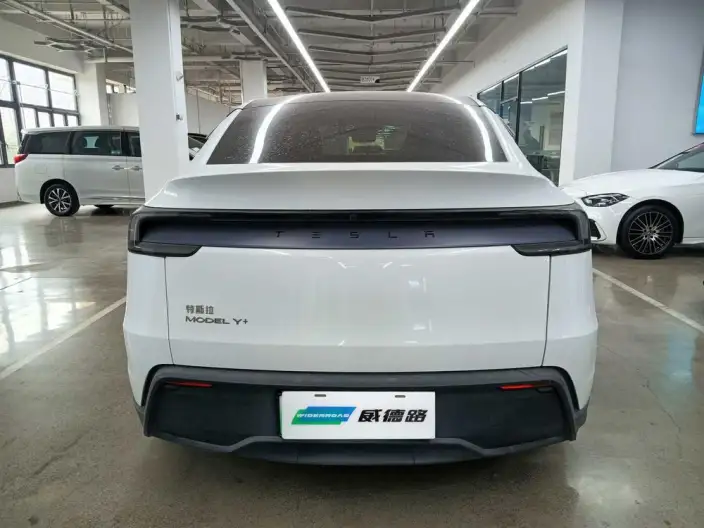 Model Y 2025 Model Long Battery Life Pro All-wheel drive version – фото 5