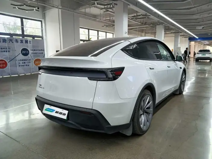Model Y 2025 Model Long Battery Life Pro All-wheel drive version – фото 6