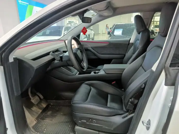 Model Y 2025 Model Long Battery Life Pro All-wheel drive version – фото 8