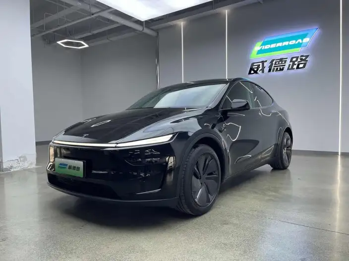 Model Y 2025 Model Rear-wheel drive version – фото 1