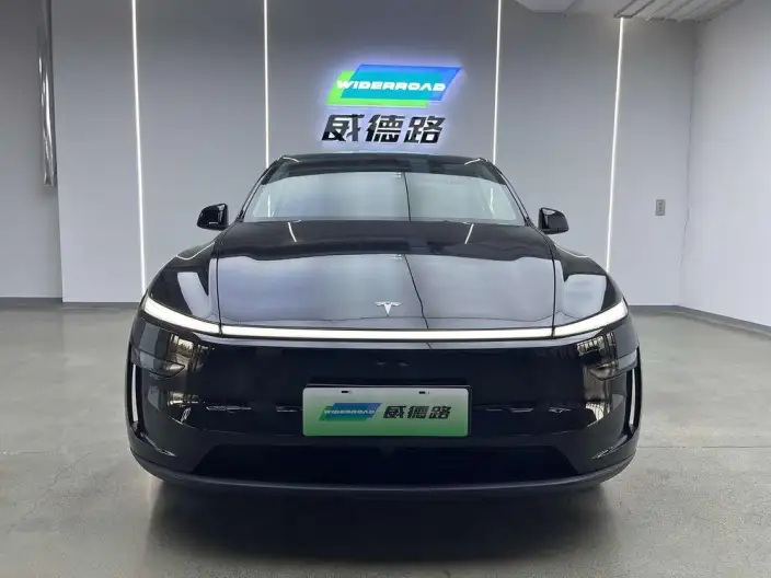 Model Y 2025 Model Rear-wheel drive version – фото 2