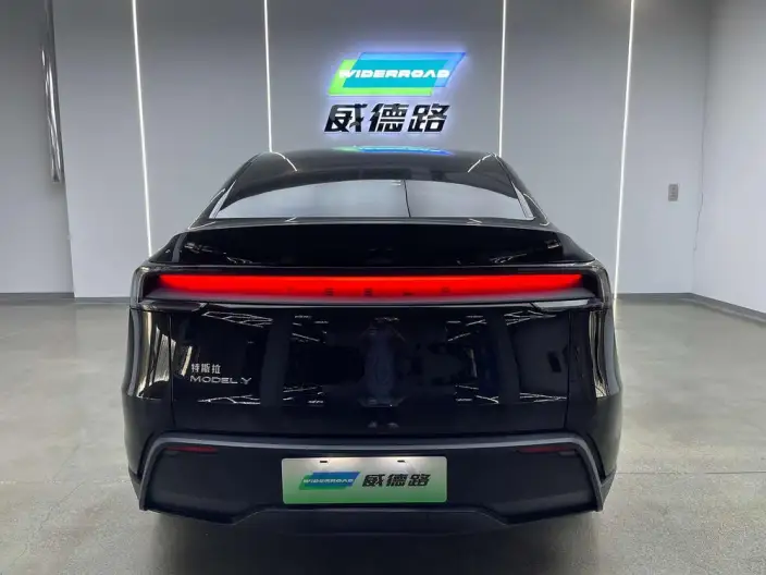 Model Y 2025 Model Rear-wheel drive version – фото 5