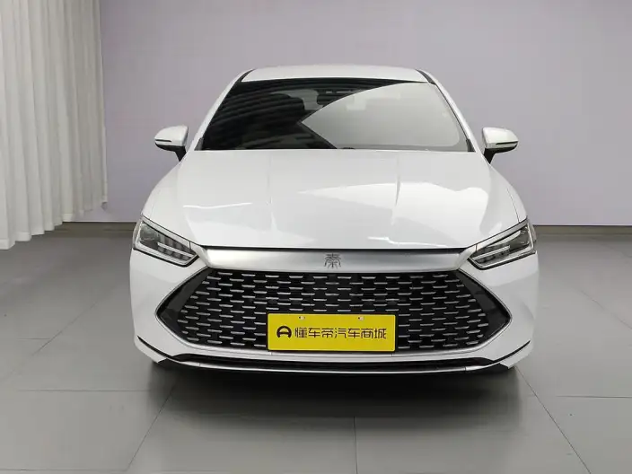 BYD Qin PLUS DM 2023 Model DM-i Champion Edition 55KM Leading Model – фото 2
