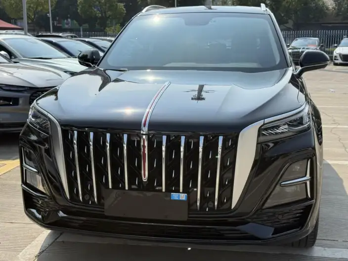 Hongqi HS5 2025 Model 2.0T Flag Xiang Pro Edition – фото 8