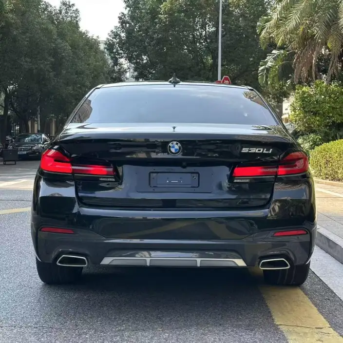 BMW 5 Series 2023 Model 530Li Leading Model Luxury Set – фото 5
