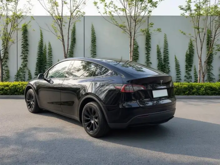 Model Y 2022 Model Facelift Rear-wheel drive version – фото 4
