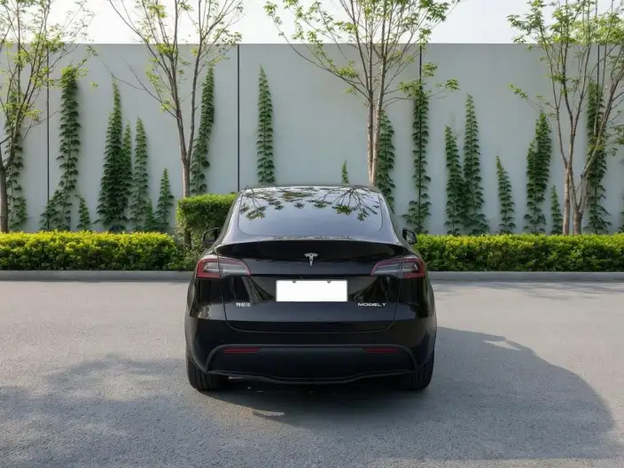 Model Y 2022 Model Facelift Rear-wheel drive version – фото 5