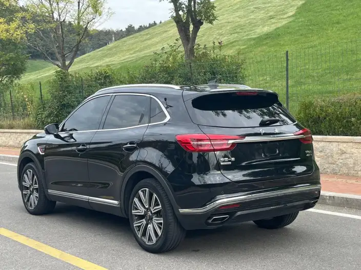 Hongqi HS5 2022 Model 2.0T Smart Flag Enjoy 4WD Edition – фото 5