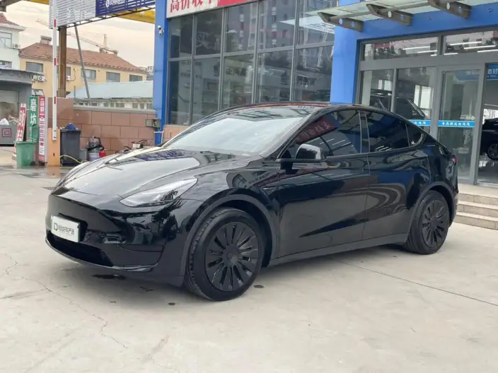 Model Y 2022 Model Facelift Rear-wheel drive version – фото 1