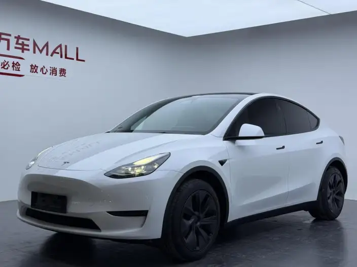 Model Y 2024 Model Rear-wheel drive version – фото 1