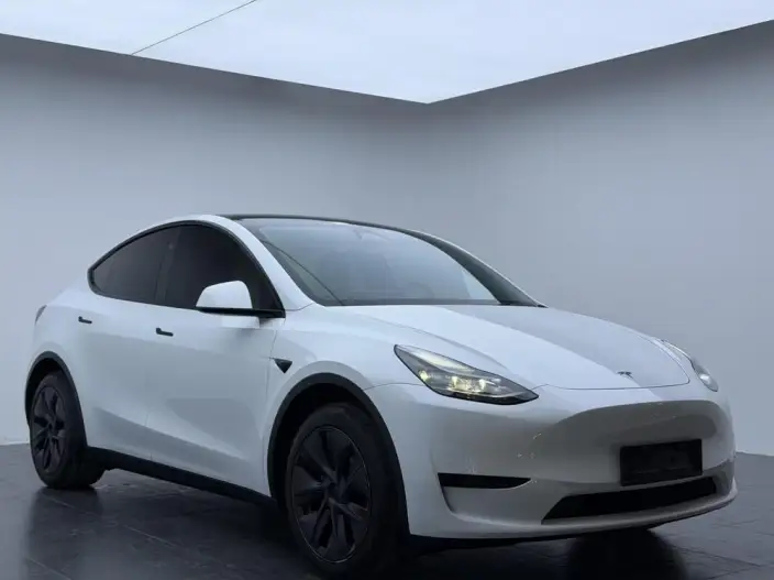 Model Y 2024 Model Rear-wheel drive version – фото 3