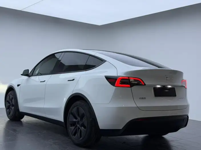 Model Y 2024 Model Rear-wheel drive version – фото 4