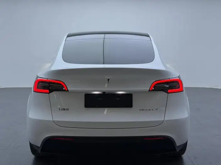 Model Y 2024 Model Rear-wheel drive version – фото 5