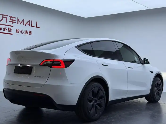 Model Y 2024 Model Rear-wheel drive version – фото 6